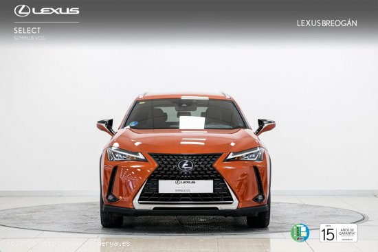 Lexus UX 250H 2WD BUSINESS - A Coruña