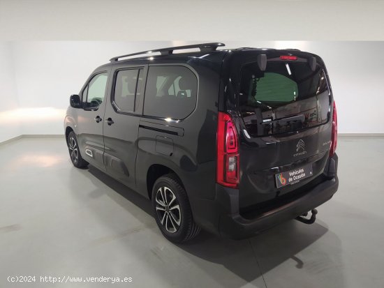 Citroën Berlingo 1.5 BLUEHDI 73KW TALLA XL SHINE 5P - 