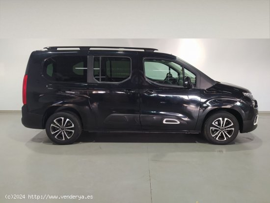 Citroën Berlingo 1.5 BLUEHDI 73KW TALLA XL SHINE 5P - 