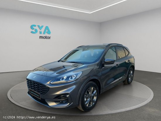 Ford Kuga ST-Line 2.5 Duratec PHEV 165kW Auto - Rafelbunyol