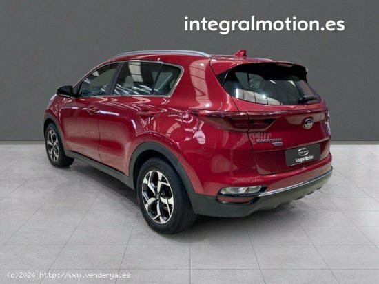 Kia Sportage 1.6 MHEV Business 100kW (136CV) 4x4 - 