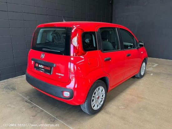 FIAT Panda en venta en Sant Celoni (Barcelona) - Sant Celoni