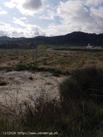 SE VENDE PARCELA RÚSTICA EN NOVELDA ZONA HORNA BAJA (ALICANTE) - ALICANTE