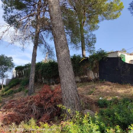 Terreno en Can Villalba - BARCELONA