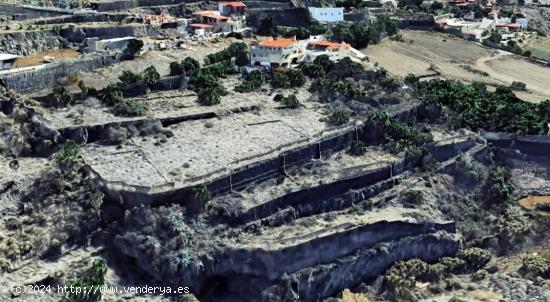 Se vende terreno agrícola de muy alto valor agrario con agua. - LAS PALMAS