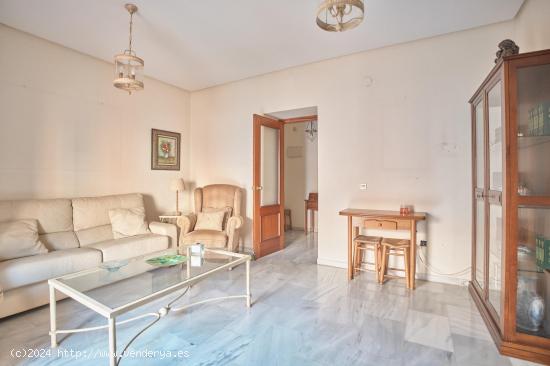  APARTAMENTO EN EL CENTRO JUNTO A PLAZA DEL ARENAL - CADIZ 