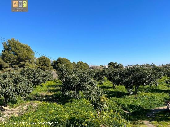 CASA DE CAMPO Y TERRENO - ALICANTE