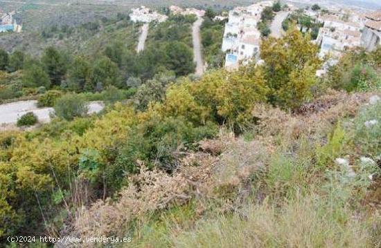 Terreno en Dénia, Alicante - ALICANTE