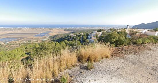 Terreno en Dénia, Alicante - ALICANTE