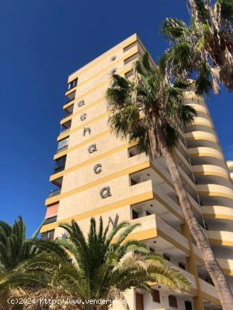 LOCAL COMERCIAL DE 40 M2 CON BAÑO EN LOS CRISTIANOS,(EDIF ACHACAY) - SANTA CRUZ DE TENERIFE