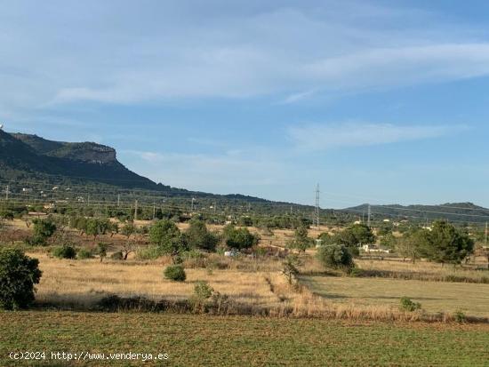 ¡OPORTUNIDAD DE INVERSION! SOLAR PARA LA CONSTRUCCIÓN DE 24 VIVIENDAS EN LLUCMAJOR. - BALEARES