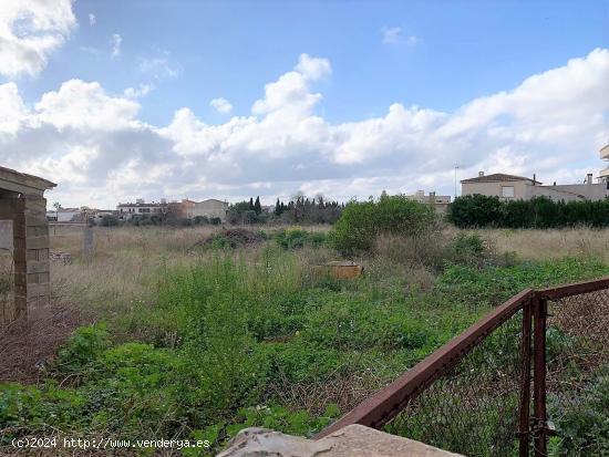 SOLAR PARA CONSTRUCCIÓN DE 39 VIVIENDAS EN LLUCMAJOR - BALEARES