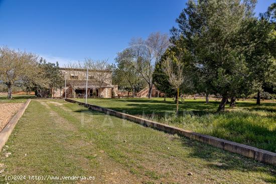 FINCA CON LICENCIA VACACIONAL EN SANTA EUGENIA - BALEARES