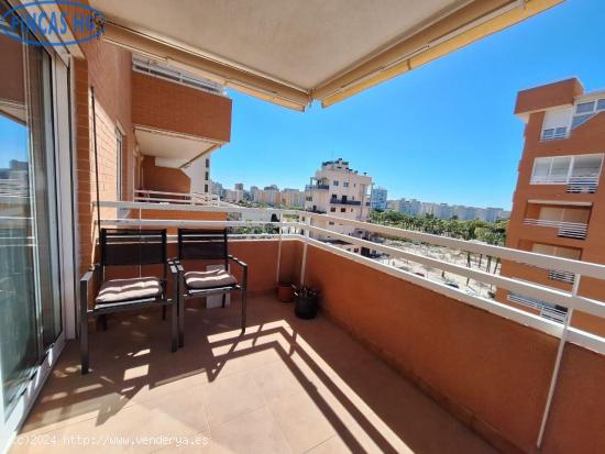  estupenda vivienda en el pau 5 de playa de san juan - ALICANTE 