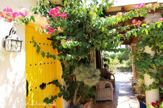 Casa con piscina rodeada de un fabuloso jardín - BALEARES