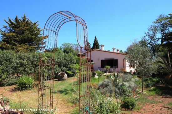 Casa con piscina rodeada de un fabuloso jardín - BALEARES