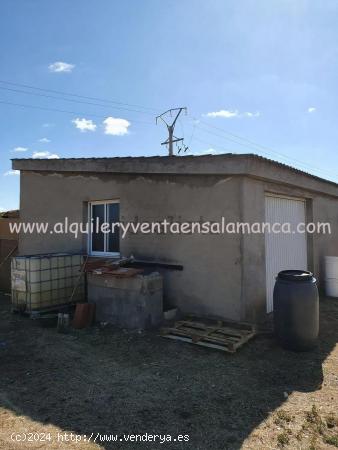 Se Vende en Calvarrasa de Arriba - SALAMANCA