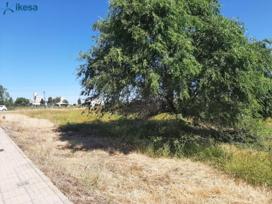 Venta de Suelo Urbano Residencial en Azuaga (Badajoz) - BADAJOZ