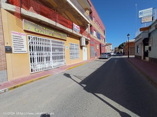 AL-051 Roldan Local comercial - MURCIA