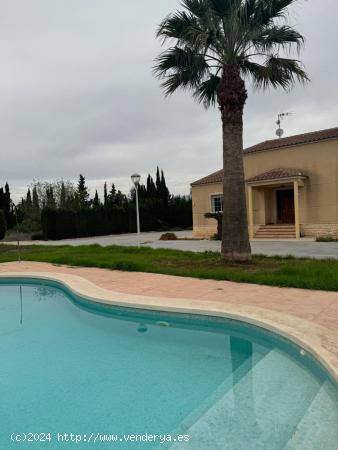  CHALET EN ALQUILER EN MATOLA - ALICANTE 