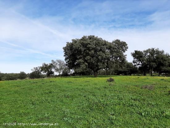 Finca 40.000 m2 con charca que mana y una construcción en Rincón de Ballesteros - CACERES