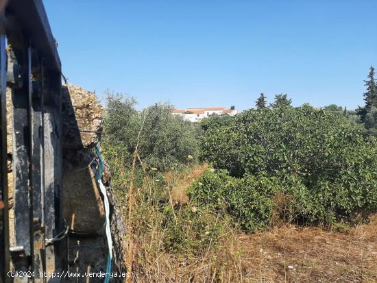 Parcela muy próxima al pueblo de Casas de Don Antonio - CACERES