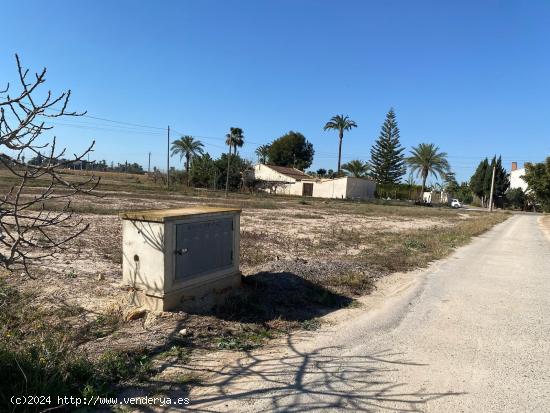  Terreno muy bien ubicado con riego por goteo - ALICANTE 