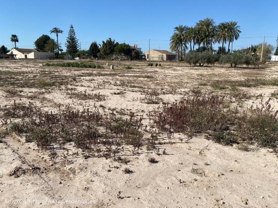 Terreno muy bien ubicado con riego por goteo - ALICANTE