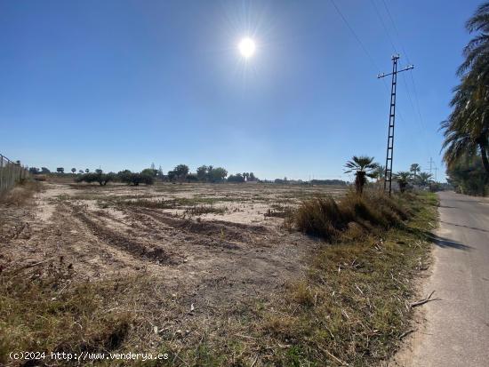 Terreno muy bien ubicado con riego por goteo - ALICANTE