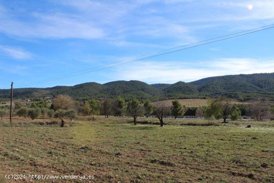  TERRENO RUSTICO EN IBI (ALICANTE) - ALICANTE 