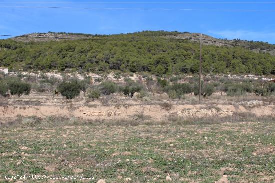 TERRENO RUSTICO EN IBI (ALICANTE) - ALICANTE