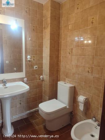 INMOHOUSE ALQUILA PISO CÉNTRICO (REF.M102) - ALBACETE