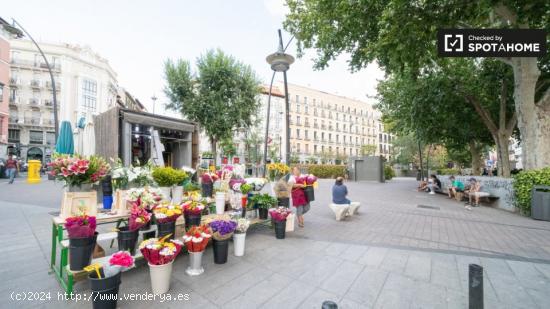 Luminoso apartamento de 1 dormitorio en alquiler en Tirso de Molina - MADRID