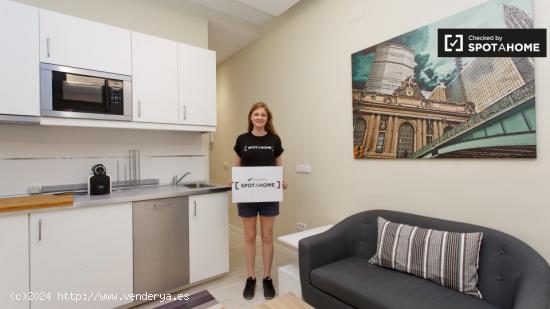 Acogedor apartamento, estudio muy bien amueblado en alquiler en Almagro - MADRID