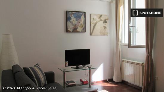 apartamento de 1 dormitorio en alquiler en Malasaña - MADRID