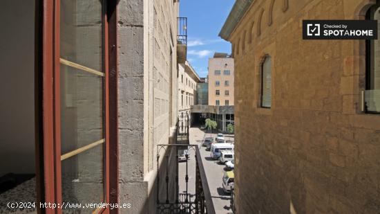 Se alquila habitación con armario independiente en el piso compartido, Barri Gòtic - BARCELONA