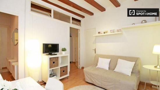 Encantador apartamento de 2 dormitorios en alquiler en El Raval - BARCELONA