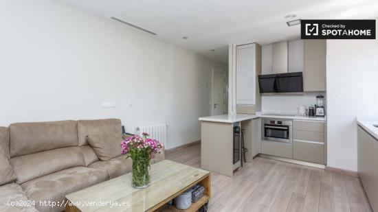 Elegante apartamento de 1 dormitorio con características modernas en alquiler en Rios Rosas - MADRI