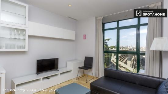 Apartamento luminoso de 1 dormitorio con magníficas vistas de Madrid en alquiler en San Isidro - MA