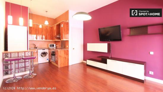 Amplio apartamento de 1 dormitorio con aire acondicionado en alquiler en Lavapiés - MADRID