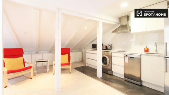 Encantador apartamento de 1 dormitorio en alquiler en La Latina - MADRID