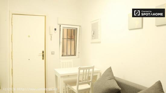 Apartamento de 1 dormitorio en alquiler en Lavapiés, Madrid - MADRID