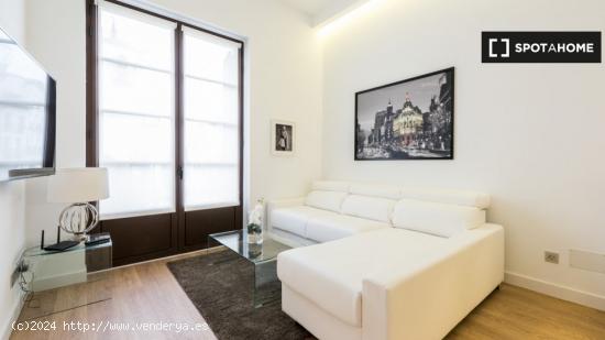 apartamento de 1 dormitorio en alquiler en Malasaña - MADRID