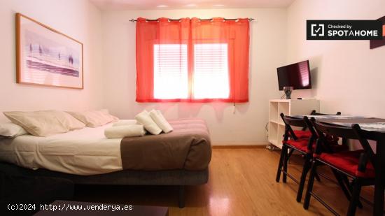 Apartamento estudio bien amueblado en alquiler en Lavapiés - MADRID