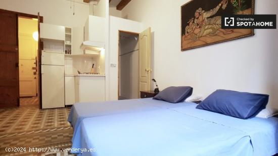 Acogedor apartamento estudio con balcón en alquiler en Barri Gòtic - BARCELONA