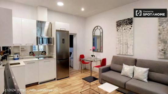 Gran apartamento de 1 dormitorio en alquiler en el centro de Madrid - MADRID