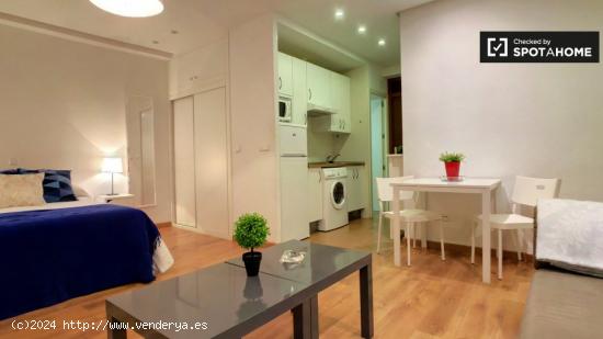 Apartamento estudio amueblado en alquiler en Salamanca - MADRID