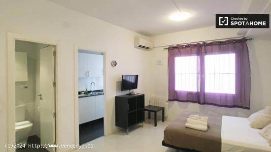 Precioso apartamento de 1 dormitorio en alquiler en Lavapiés - MADRID