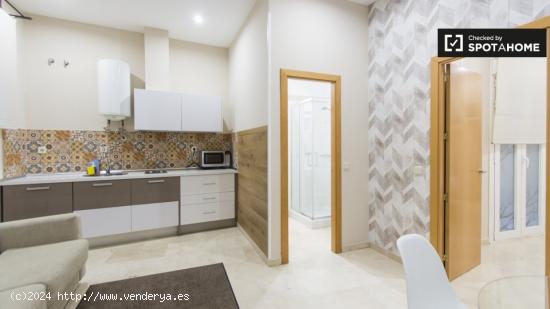 Encantador apartamento de 1 dormitorio con aire acondicionado y terraza en alquiler en Madrid Centro