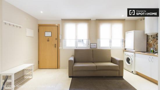 Luminoso apartamento de 1 dormitorio en alquiler en el centro de Madrid - MADRID